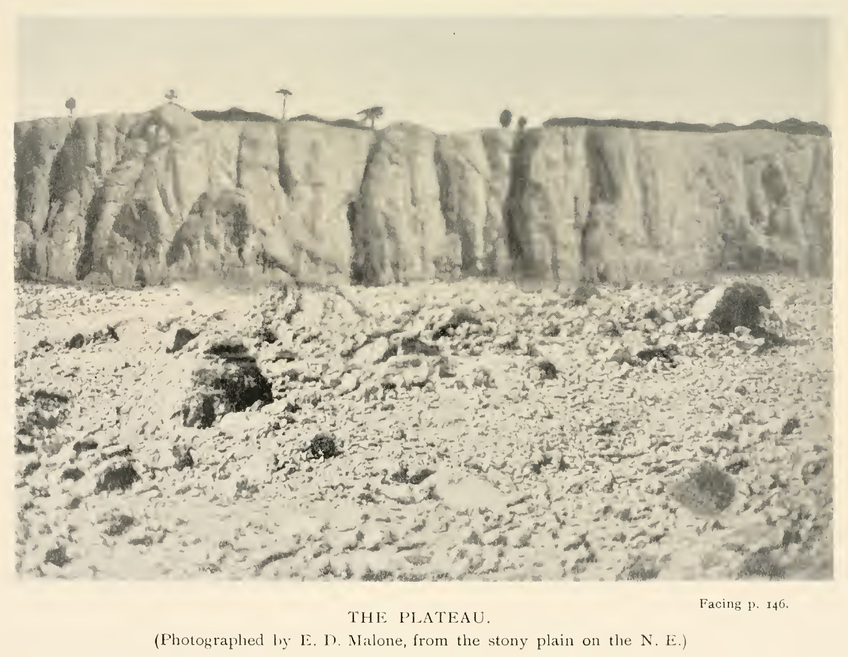 The plateau