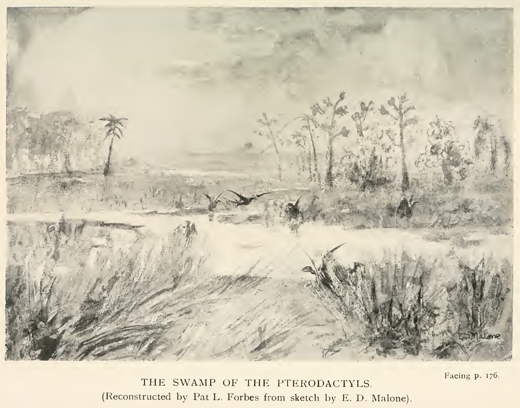 The swamp of the Pterodactyls.